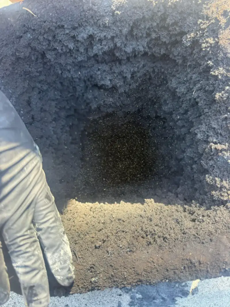 Before PCR chimney cleaning